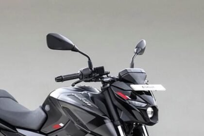 Bajaj Pulsar NS250 (2)